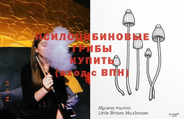 PSILOCYBIN Арсеньев